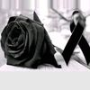 anheli_2119