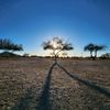 wanderingthrulife25
