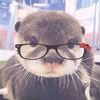 hullabaloocute