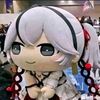 delfan_key
