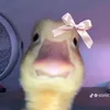 soiilonn