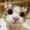 nimrayy_bea