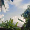 callme_whattt