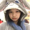 ltk._chii