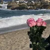 frss__22