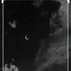 marsai508