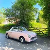 mypinkfigaro