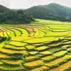 baongoc050619