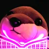 hk._piro.piro