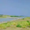 mohammedsuleman356