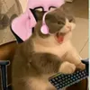 konto_o_wszy_stkin