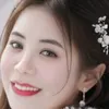 vy29203