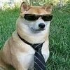 shiuraperro69
