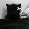 _darkmoon.chaos_