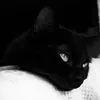 .tfy7