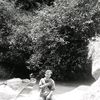masdy0316