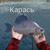 kpasotka32