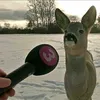 peysssyto