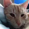 mrdoogo