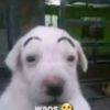 miguelez2.0