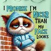 sissy_8_0_1