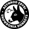 snowdoniadonkeys