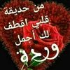 user1465727177368