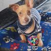 yany_1981