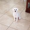 joe158_