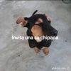 jhoelsana