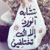 saronahassan8