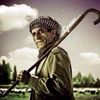 abo_zyad1401