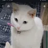 usersoso742