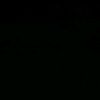 ray_alfsy_