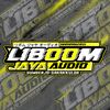 liboom.audio
