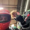 dmtobeputon