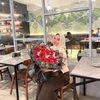 devisb_09