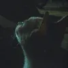 _hang9_