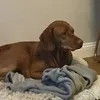 1tierfreunde2
