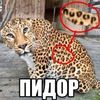 rtx.pr0x1ma