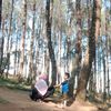 wulanhaufan