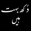 ahsan3998