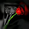 user73211624342371