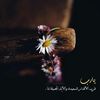 alamirih55