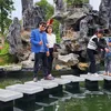 nguyenbahoan85