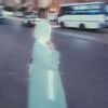 nourhitham07