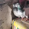 user2007567207800