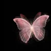lany231798