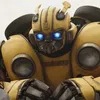 bumblebee_999888