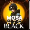 mosa_313_3